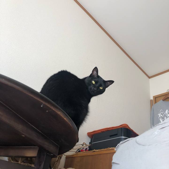 75a083e3 5db4 405b b662 44833211734a 1552107180906