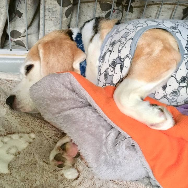 75a0a718 6d88 470e bd84 c488ad45058a 1559272772531