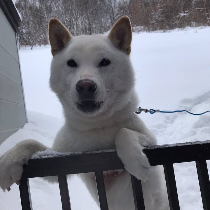 75a0b79d 1210 4bc8 92c3 dcf3980164e9 1547978458221