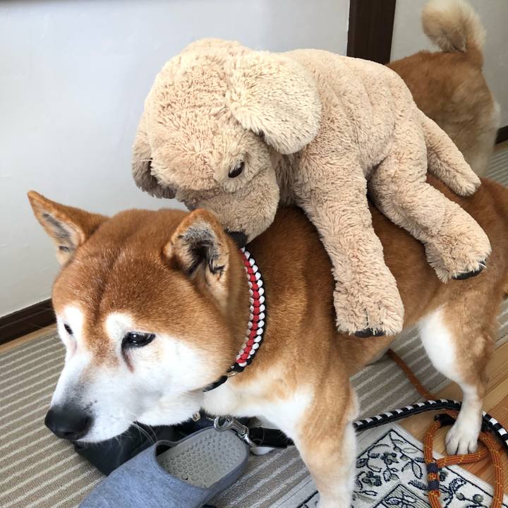 75a0d869 206b 4ac0 bd81 72a21f71f849 1555742559176