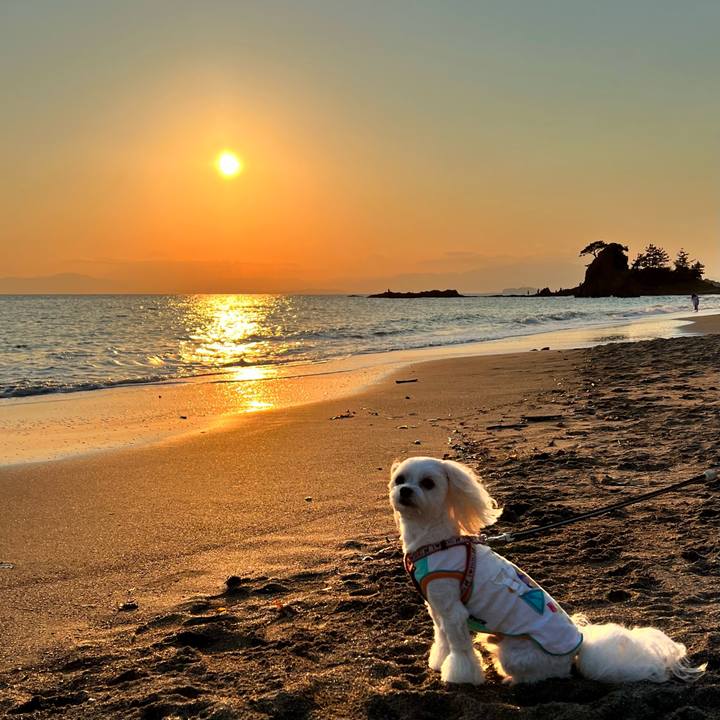 75a100d9 dc58 4816 a2e6 379d90b79d80 1652775045783