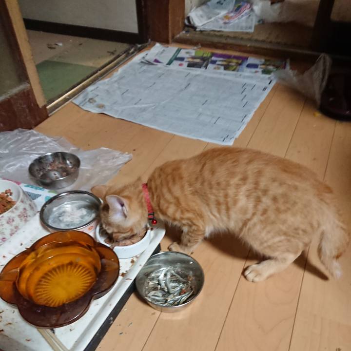 75a13a58 b540 4107 a955 bda612b90d8d 1633079314725