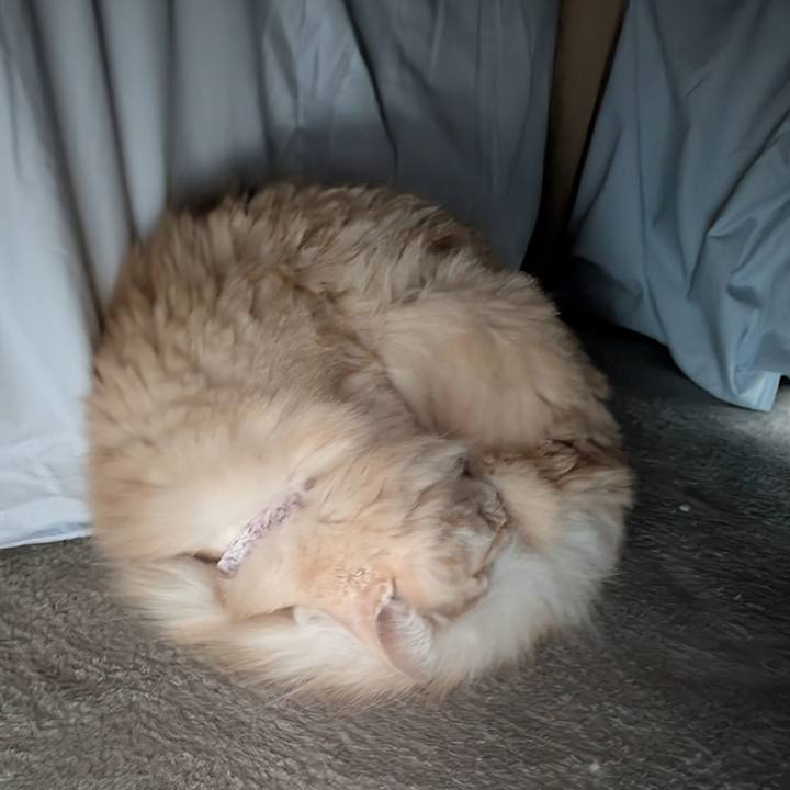 75a13b36 2c9b 4ba7 844a c6fe77176d46 1761871291739