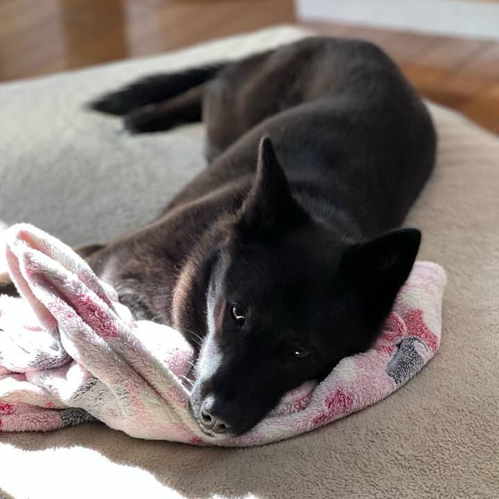 75a17956 c134 4155 8e34 1fbe3cdea0c9 1641603704131