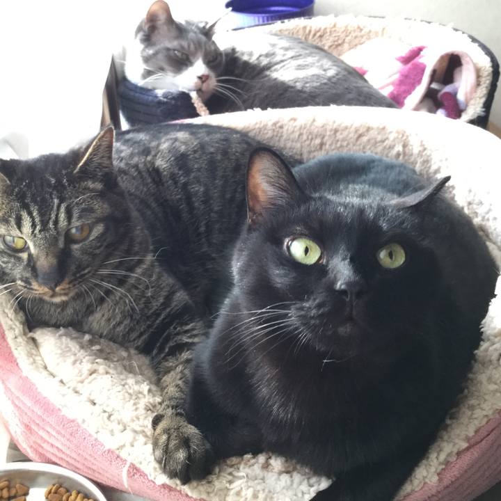 75a19bae 10a0 4c88 9c4e 43d631a05c06 1553672600613