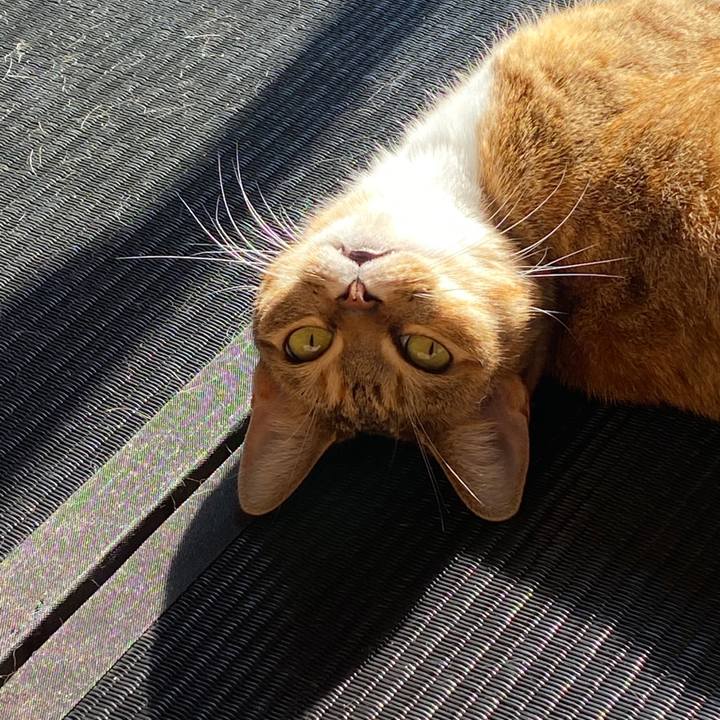 75a1a532 ef04 4cbc 8bdd c4d59701db1f 1579487903170