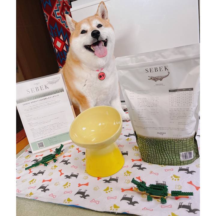 75a1bef2 fbc9 4a22 ab67 662e5bfe3836 1682118800980