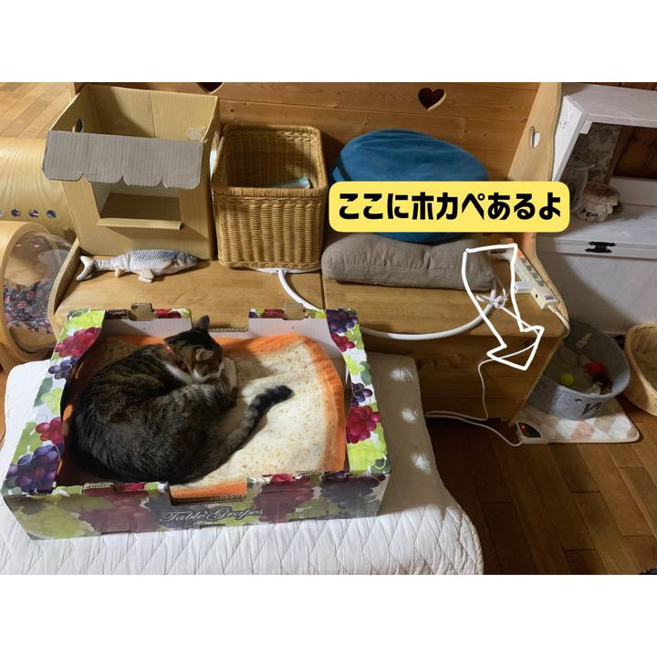 75a1c314 5526 4817 b126 cd4e5cec48a9 1667999903184