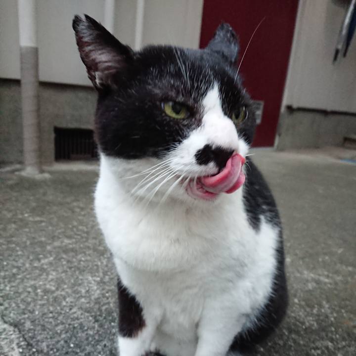 75a203a2 740c 4918 b483 6ddd133f5be4 1662903807121