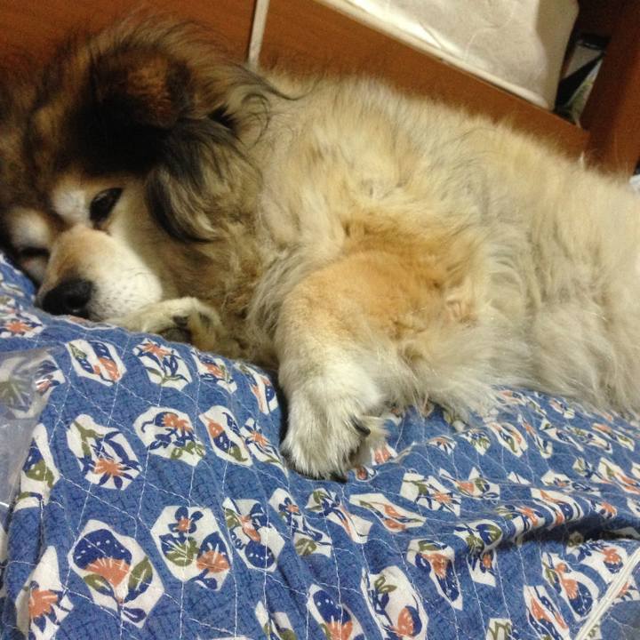 75a240c3 b84e 47ea a5b2 9dbcb90ad959 1600883581630