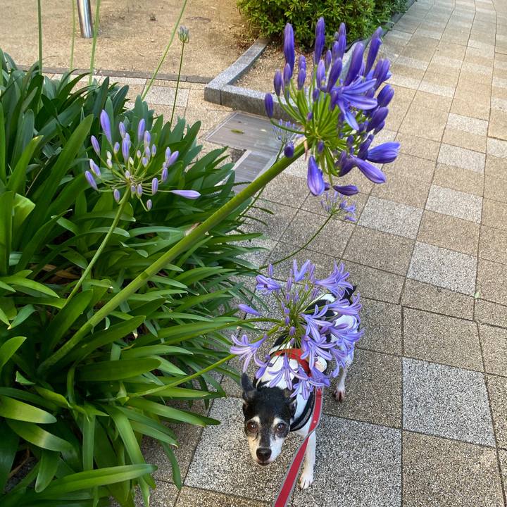 75a249c0 9ee2 42a0 85e7 6b3bca9596ad 1592995575018