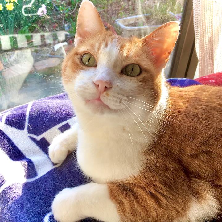 75a254bd 9194 4676 8c7f b8d587676017 1586847079614