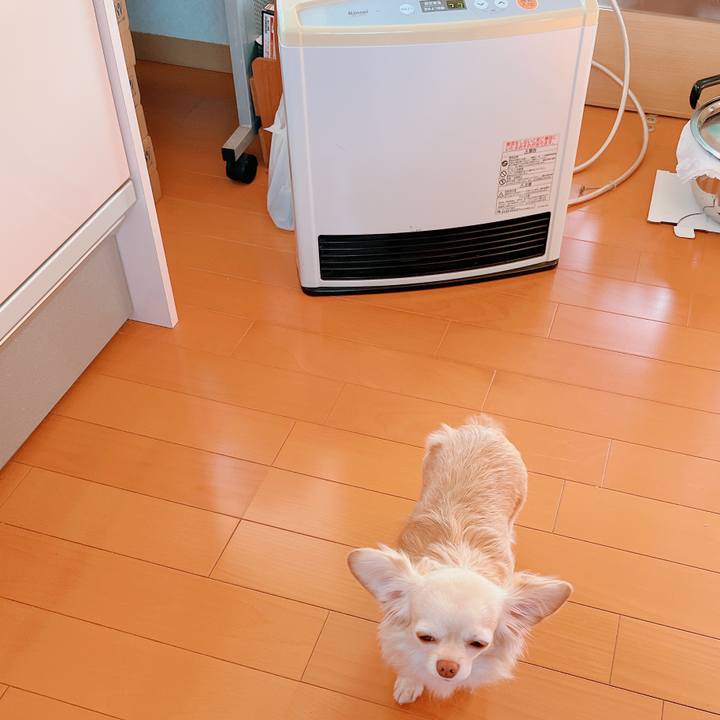 75a2601c b924 4420 847e 9240b3f37903 1672650933084