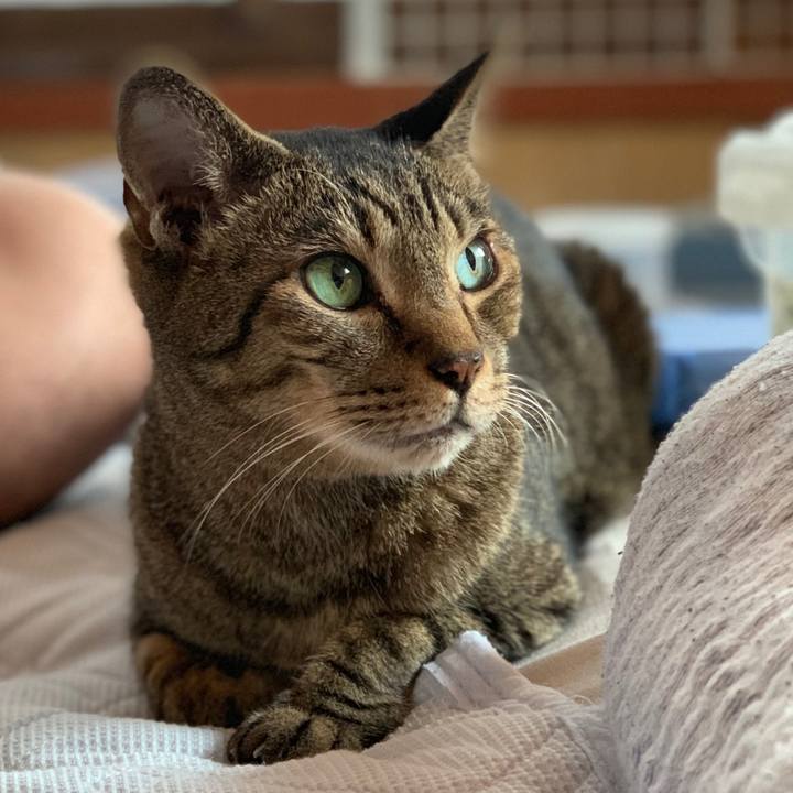 75a276e4 16c8 450d aafe db673c21e69e 1569805694697