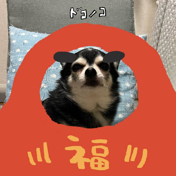 75a28572 3dc5 4e5a a3b7 74e5f89175d8 1771826290588