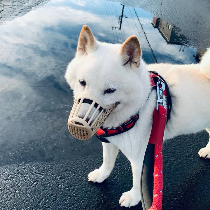 75a29afd 47c7 46df 91fb 18952e6b2392 1659386001207