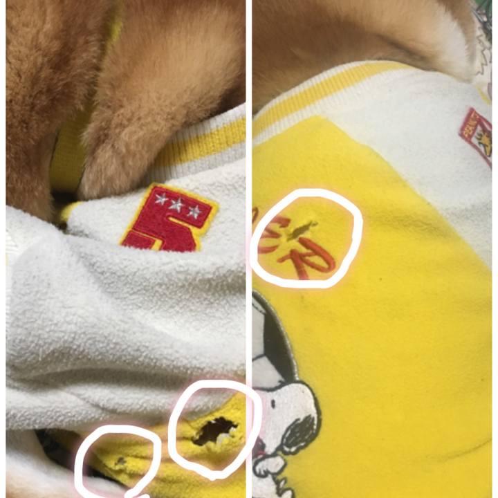 75a2a123 c299 4f06 a51b 65cfb0a79ca1 1517304269264