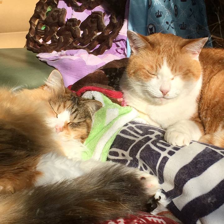 75a2bb7b 20fb 480d b25d 06a340d093e8 1614570302564