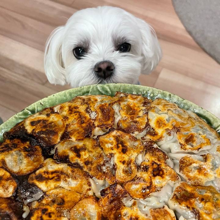 75a2ce98 0c56 4f6f 9fa1 d64ca14b579d 1772280982079