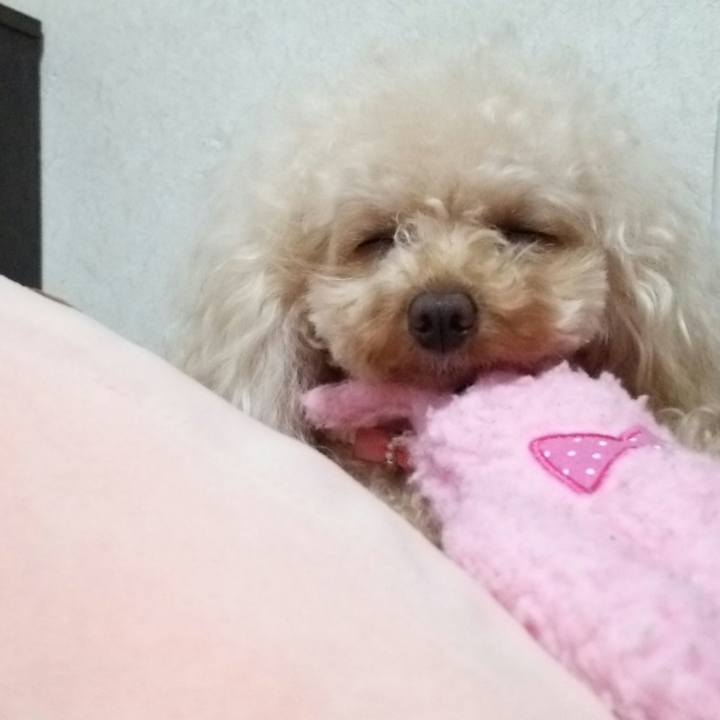 75a2de58 dc86 443e 94f5 e1fb68647cc9 1514807712889