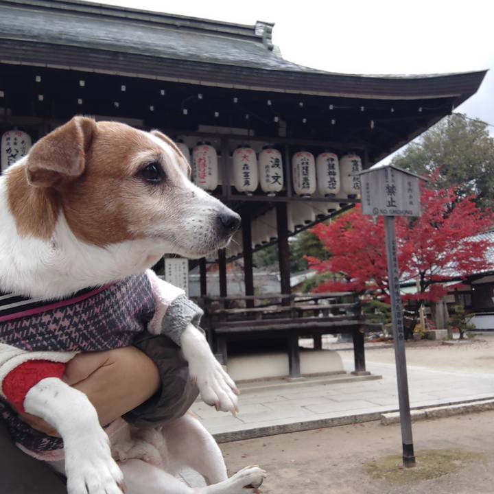 75a30029 6a1f 4040 a30d fb9387e3135b 1764755598524