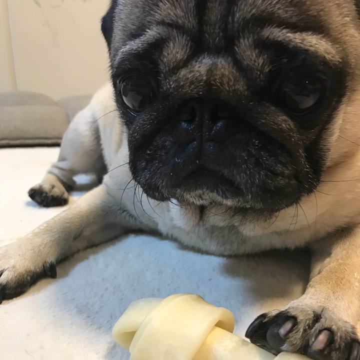 75a31971 cc6e 42f2 8994 f13644f502ee 1530877686826