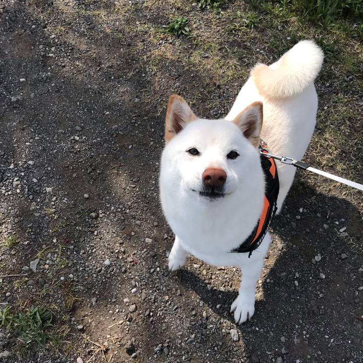 75a31ec6 ce8e 4cd9 8165 9ecce2d23077 1555925788767