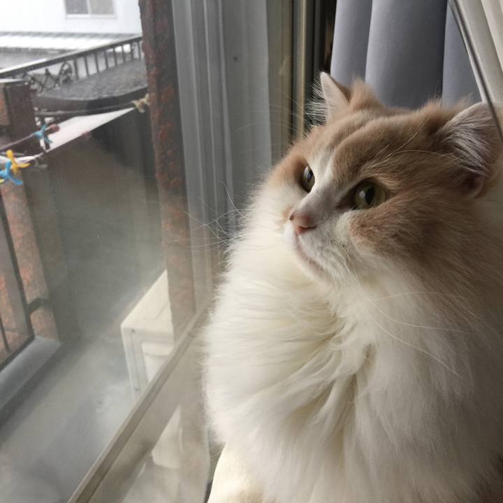 75a38108 b7a6 432b ba2b 2b6fbb17c888 1542780154765