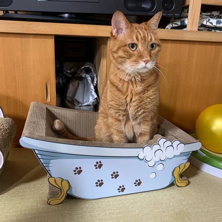 75a3bf5c 11ef 4e83 9a6f 666eda1c53fe 1624699940159