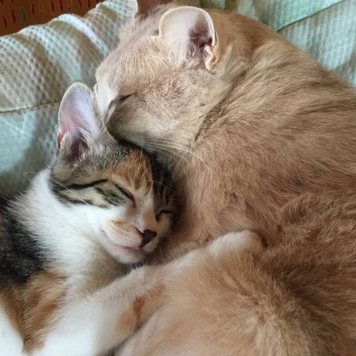 75a3d27f 429c 4f7c 8d36 c63ad0948e1d 1634702559524