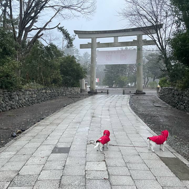 75a41278 c98b 483b 9c98 650b928ad6a8 1673307455586