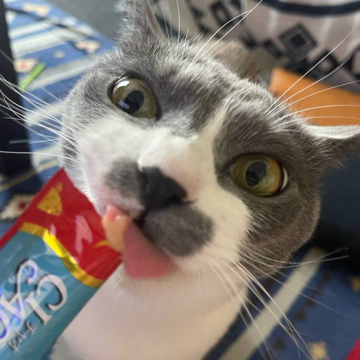 75a45396 bb57 406f 8cdf 98509c03fcd9 1689056827273