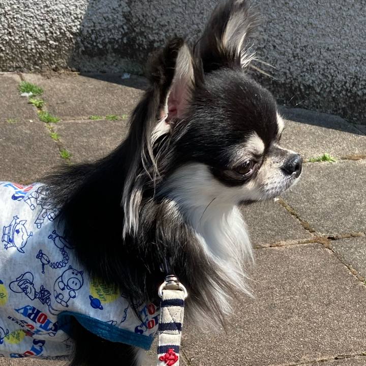 75a494ed 6167 41d6 b833 4b2c1f18e20c 1616817363942