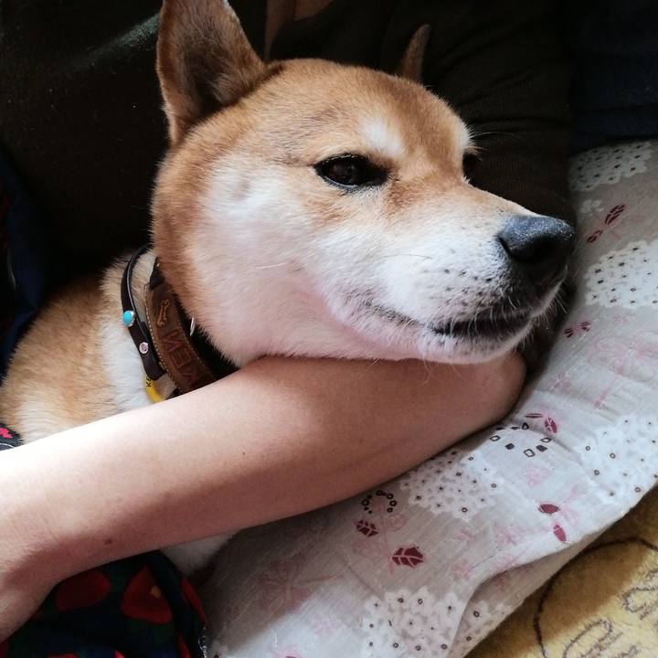 75a4a035 a710 4cb1 8206 983390ef7748 1583372724775