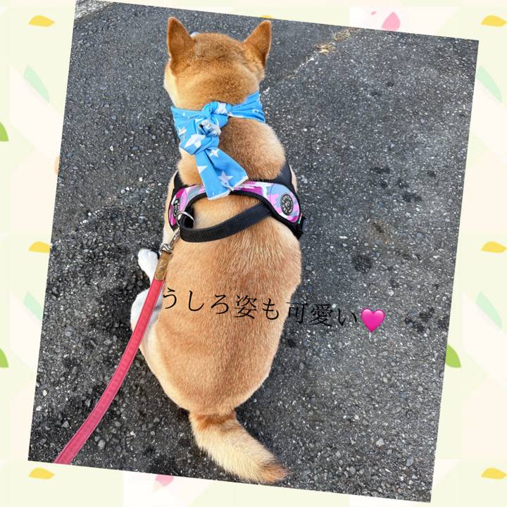 75a4a942 6b52 44f5 8769 25dd17746611 1726613914439