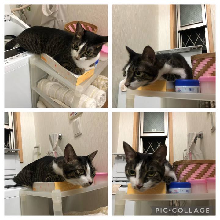 75a4b1fd 1da5 4782 9b02 c2dc84b6e55a 1628106959442