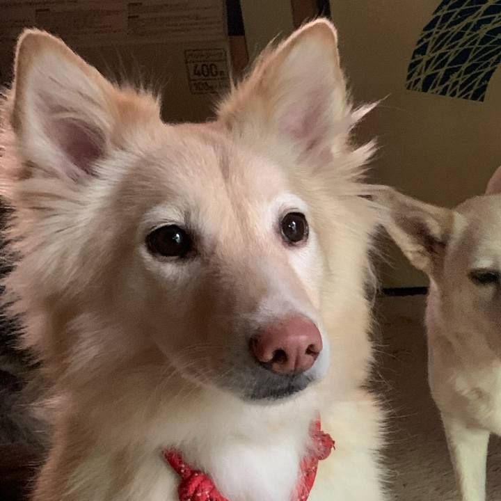 75a4e6bd 72fb 4c5f 83fe ed11ac833e5c 1633767580640