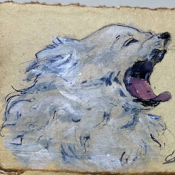 75a506d9 0368 4911 84d6 7484b19be4c9 1746798758889