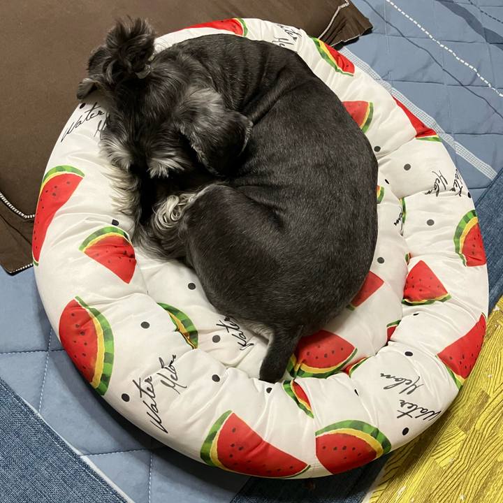 75a55b9a 828a 4a7a a9bb bac2d3289c52 1723302968327