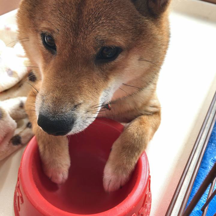 75a57174 33f2 49ab ab93 dd0f4466e6e2 1549959024411