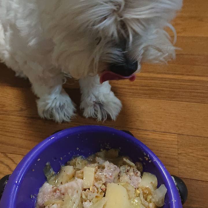 75a5fa95 dd18 4c56 ad41 f3fa4d76f535 1624875331884