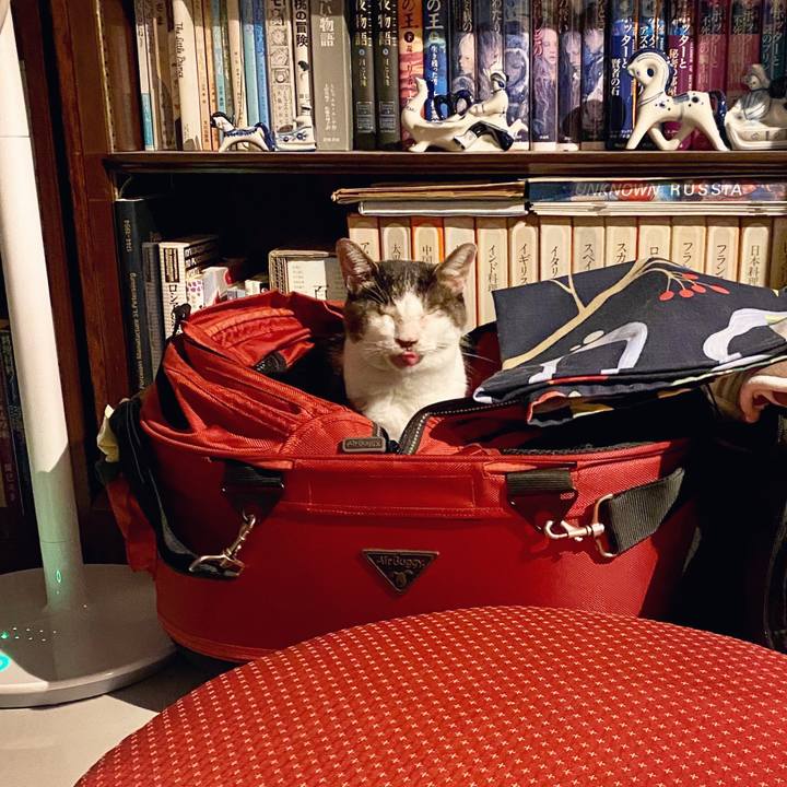 75a63fe6 ad76 4696 ac95 44f83e06c526 1599311370799