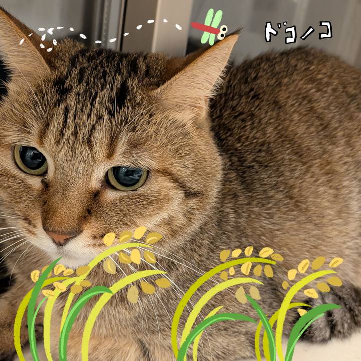 75a65c2f f752 4d9f b55b 3f2cd403ed10 1761601002495