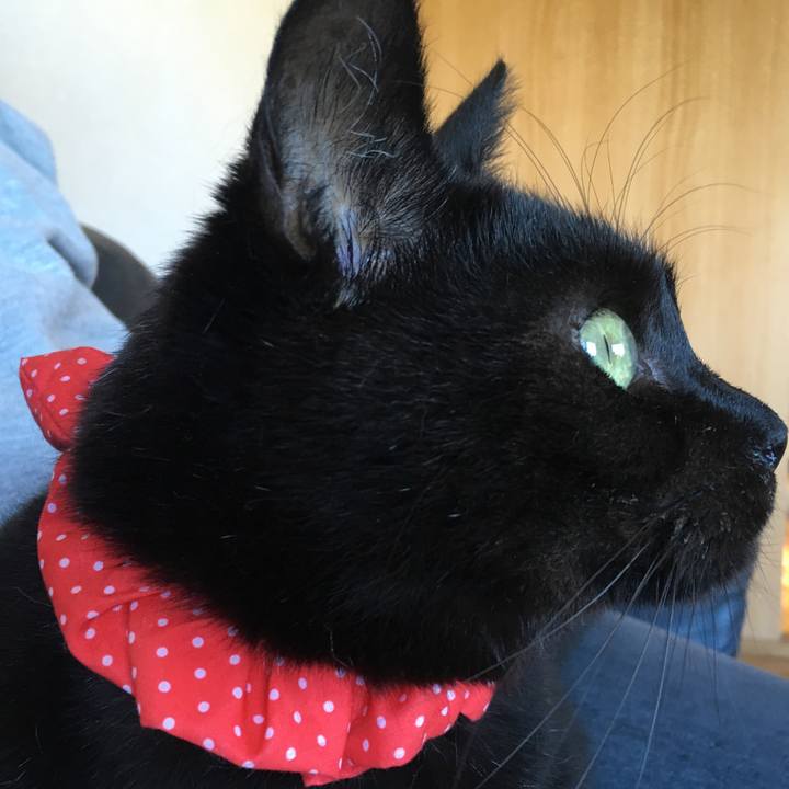 75a6976e 629c 4a5b 96e9 f60ffca9ba46 1538199005110