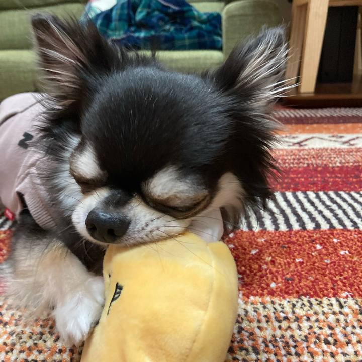 75a6985c 92ef 48c9 94ef aac2ea2f4f63 1679153507693