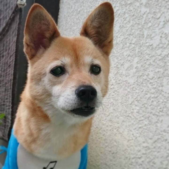 75a69885 97fc 4764 ab8c 8cfd26c587ca 1573558383956