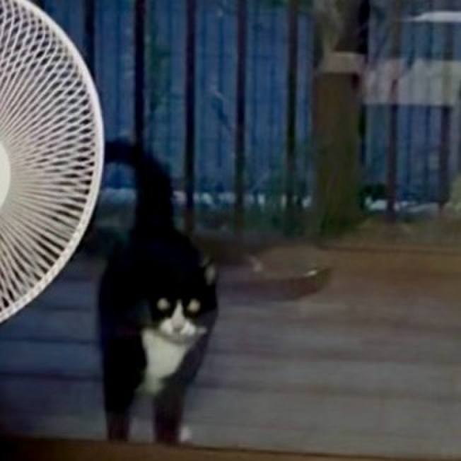 75a6a0dd 1bef 4301 8511 c3dd273f8c9c 1763459997869