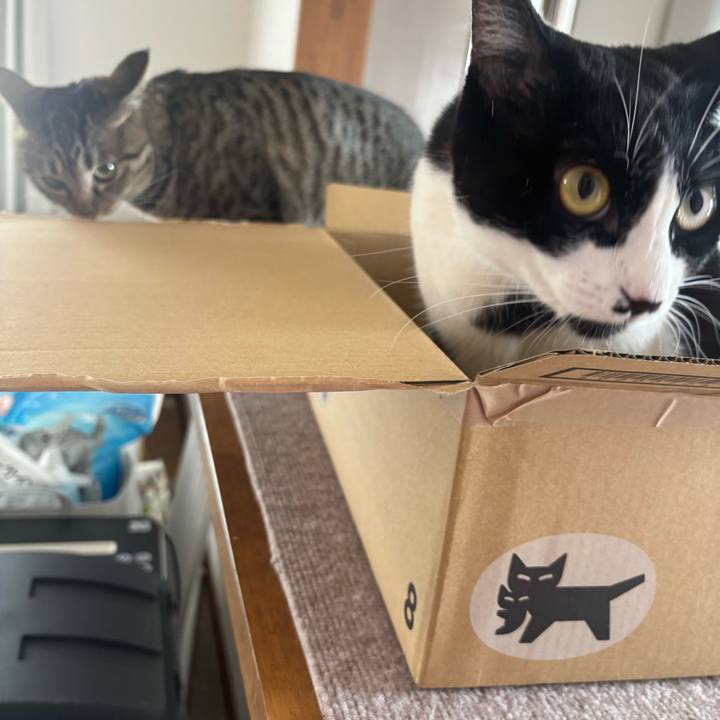 75a6b823 0d78 4f95 b025 0ce6cd947ce8 1756260688587