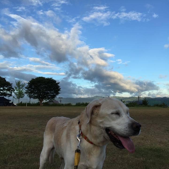 75a6c97d a346 46c4 844f 9910aba60288 1533723271700