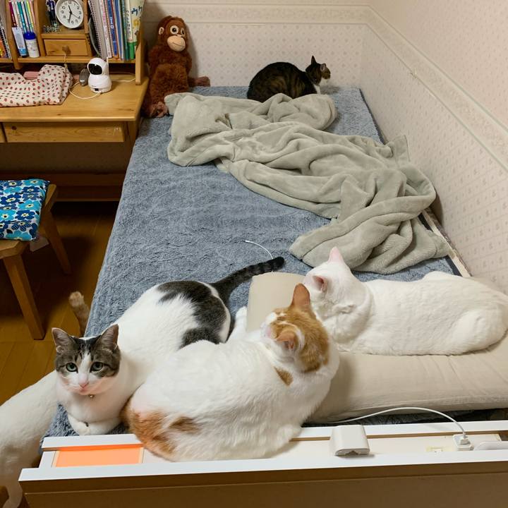 75a6ff83 f631 4c02 adad 661621ad5e57 1637332379051